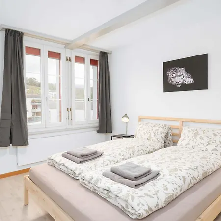 3br Center Parking & Balcony Near Interlaken *